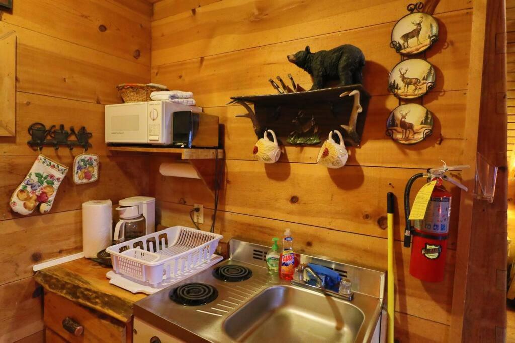 Cozy Cabin W/ Fireplace 3 Minutes To Helen! #2. Екстер'єр фото